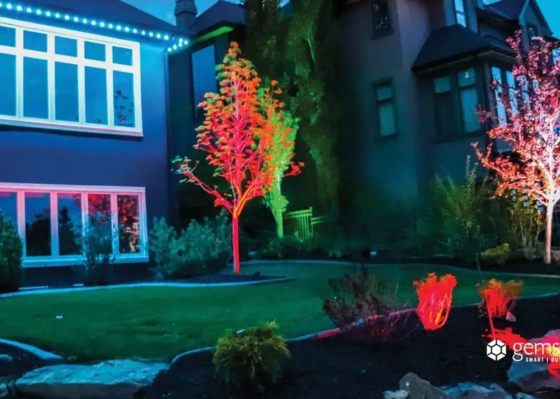 Landscape lights washing front-yard trees in red