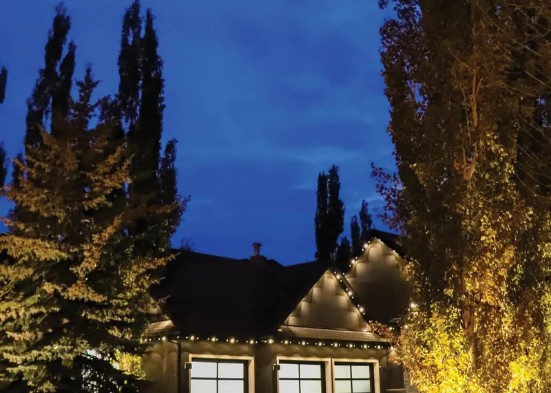 Warm landscape lighting on tall evergreens beside a home